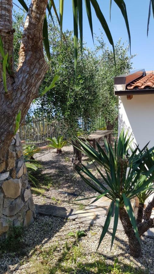 Villa Piccola Casa Con Giardino San Remo Exterior foto